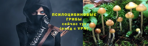 синтетический гашиш Зеленокумск