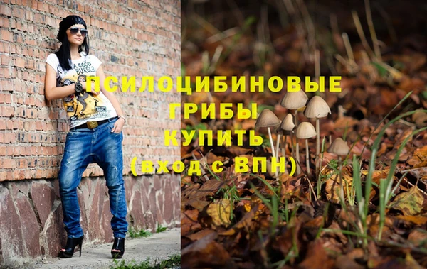 прущие крисы Зеленодольск