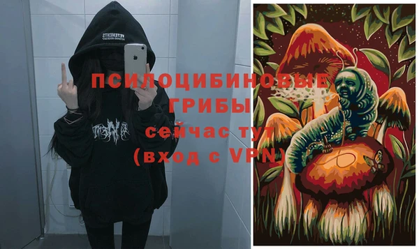бошки Зерноград